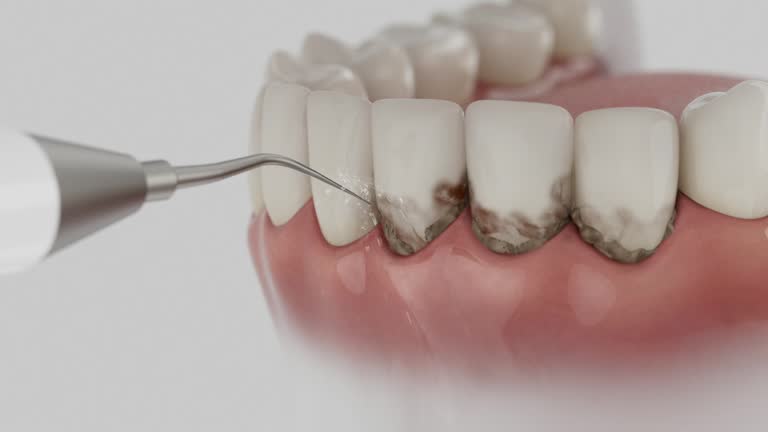 Reliable Dental contractor in Mackinaw, IL by Dentist Open Now